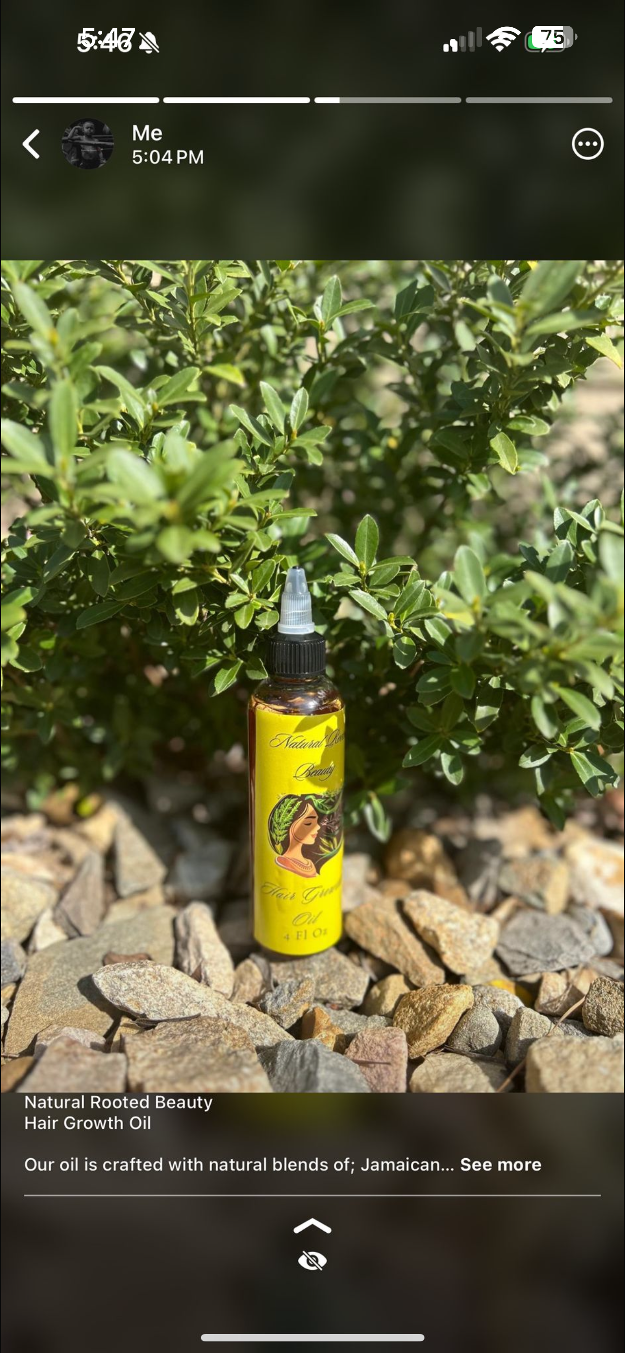 Natural Rooted Beauty Hair Growth Oil